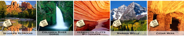 Website photo banner