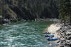 Main Salmon Picture 0512