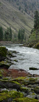 other jetboating resources photo 1