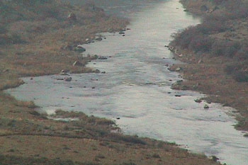 Whirlpool