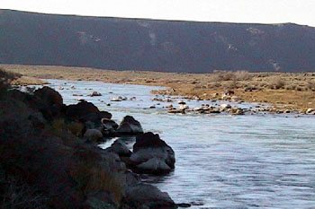 Halverson Rapids