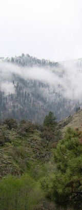 resource photo 1