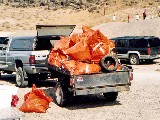 Snake River Cleanup sidebar 3